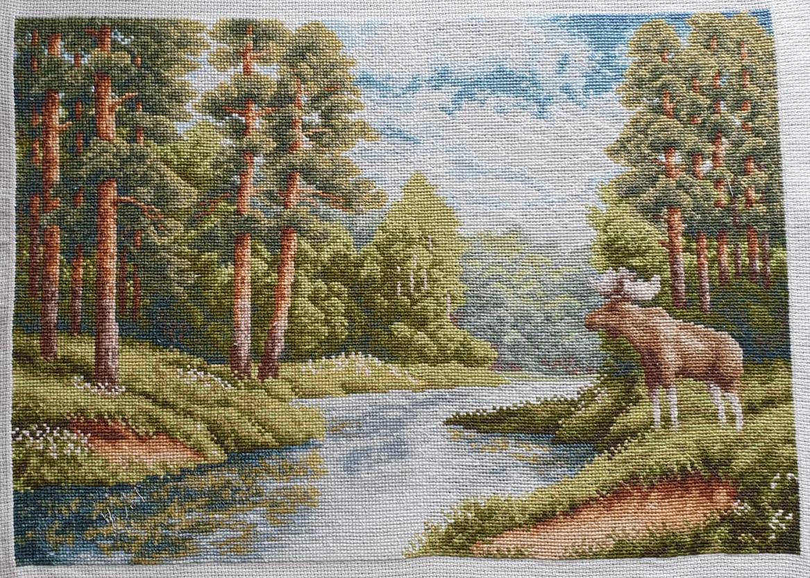 Изображение к отзыву Алена