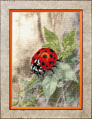 Вышивка СЖ-072 Божья коровка Вышивка СЖ-072 Божья коровка
