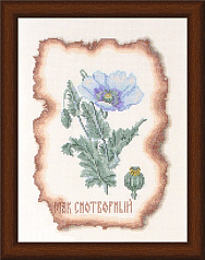 Вышивка КК-001 Мак снотворный